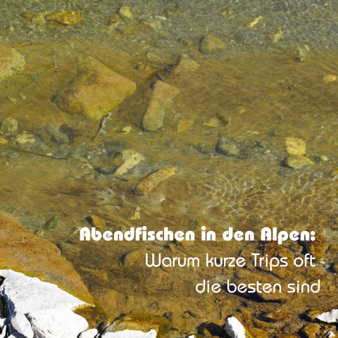 fliegenfischen schweiz, fly fishing switzerland, angeln graubünden, fischen in den alpen, fliegenfischen gebirge
