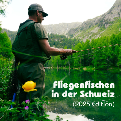 fliegenfischen schweiz, fly fishing switzerland, angeln graubünden, fischen in den alpen, fliegenfischen gebirge