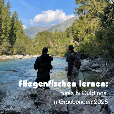 Fliegenfischen lernen: Kurse & Guidings in Graubünden 2025