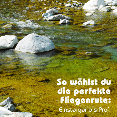 fliegenrute kaufen, vision fly fishing rute, fliegenrute einsteiger, fly rod guide, rutenwahl fliegenfischen