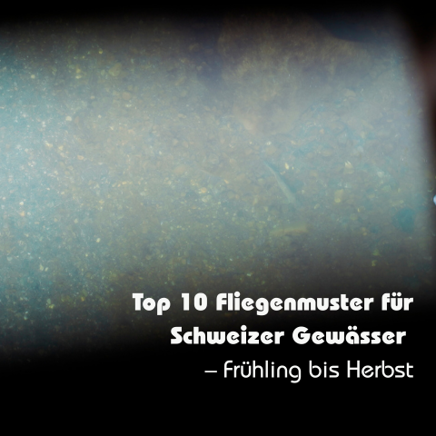 fliegenmuster schweiz, nymphe forelle, trockenfliege alpen, fly patterns switzerland, fängige fliegen