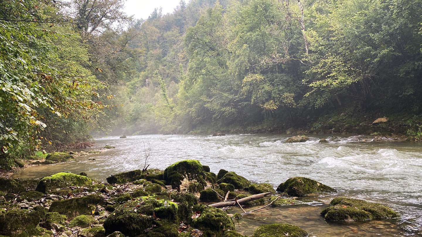  Fliegenfischen schweiz, fliegenfischen birs, fliegenfischen basel, fliegenfischen solothurn, fischen birs, bobsflies.ch, bob’s flies, bobsflies, fliegenfischen am bach, fliegenfsichen am fluss, fliegenfischen mit nymphe, fliegenfischen, claude kleiner